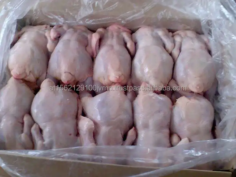 frozen chicken19.jpg