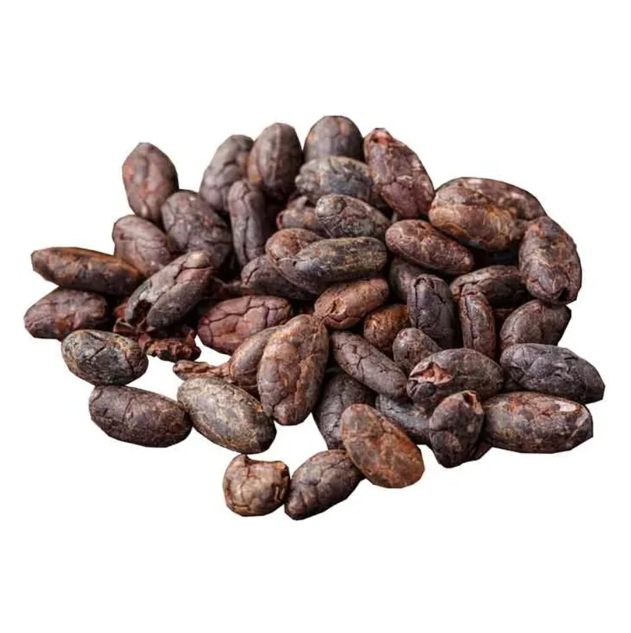 100% Cacao Beans seeds and Cocoa premium quality Natural cocoa West Africa cocoa beans wholesale suppliers