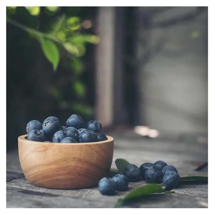 Best Quality Hot Sale Price Fresh Fruits Plums