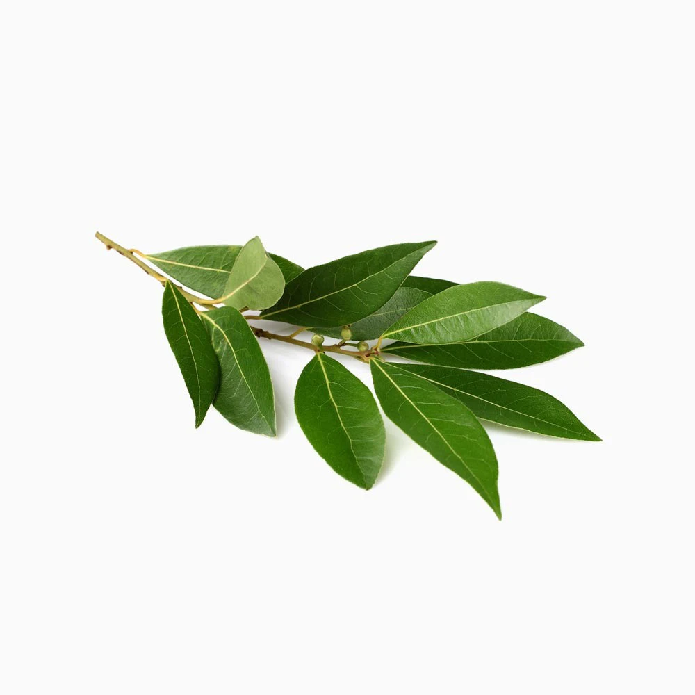 Extending Laurel Fence With Leaves Nice Screening Artificial Leaf Hedge