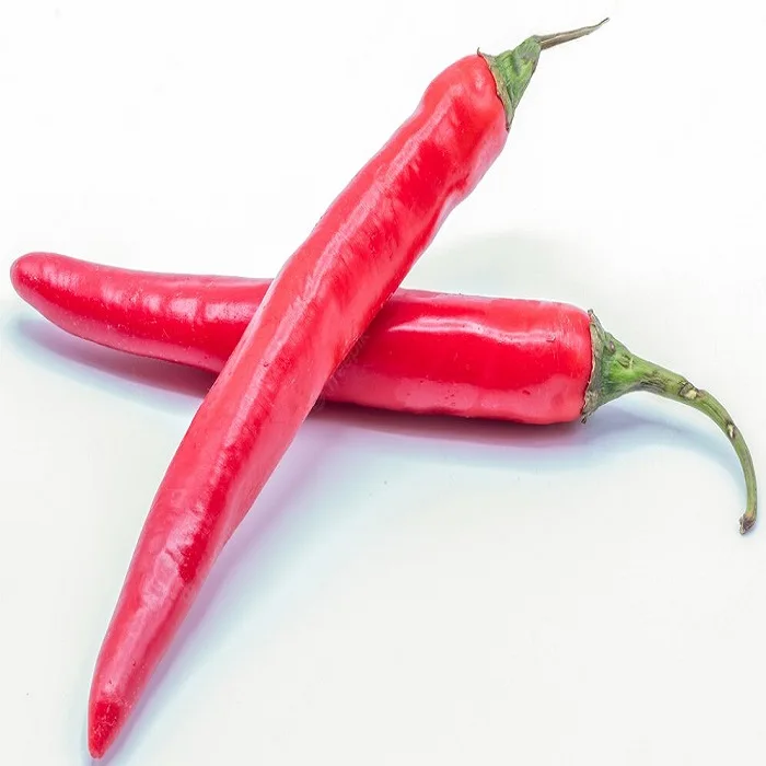 Best Cheap most selling suppliers of dried  red chili pepper from Thailand ISO certified premium quality