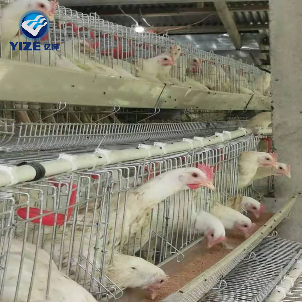 Medium Poultry Coop Large Rooster Pen Wooden Chicken Coop Heater Hen House Feeder Chicken Poultry Cage Nest