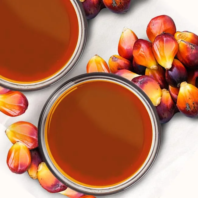 Good Quality Indonesia Palm Oil Mill Effluent POME 20 MT in bulk package for candle wax cosmetic products