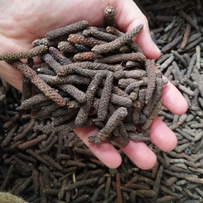 Long Pepper from Madura Indonesia, harvested directly from the garden with high quality and good prices