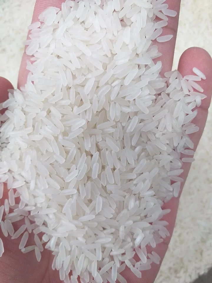 Cheap price new crop of fragrant jasmine rice with 5% broken for wholesale OEM from Vietnam
