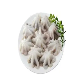 Factory Supply Fresh Frozen octopus for sale at cheap prices