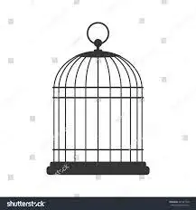 Metal wire Bird Cage Home Decor Hanging Fancy Brass  Birds CAGE