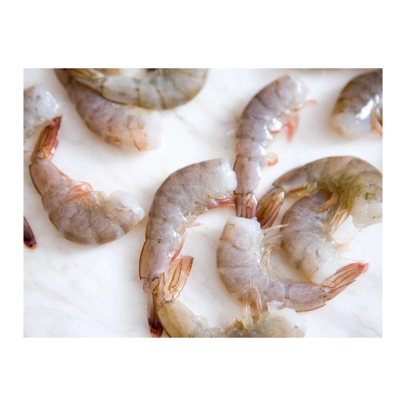 Frozen White Shrimp/ White Shrimps PD