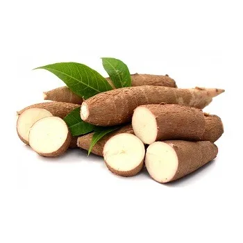 For Sale Low Price 100% Natural Fresh Cassava Chips Packed in Jumbo Bag From Sliced