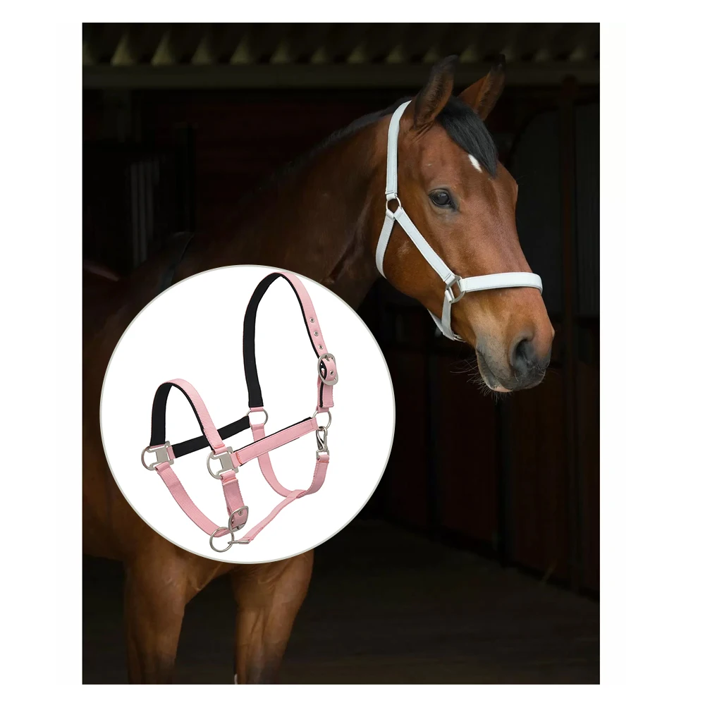 Hot Sale of Horse Riding PP Halter Available at Good Price Strong Premium Quality