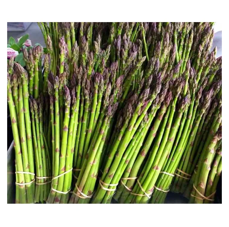 Cheapest Price Supplier Bulk Fresh Vegetables Asparagus With Fast Delivery