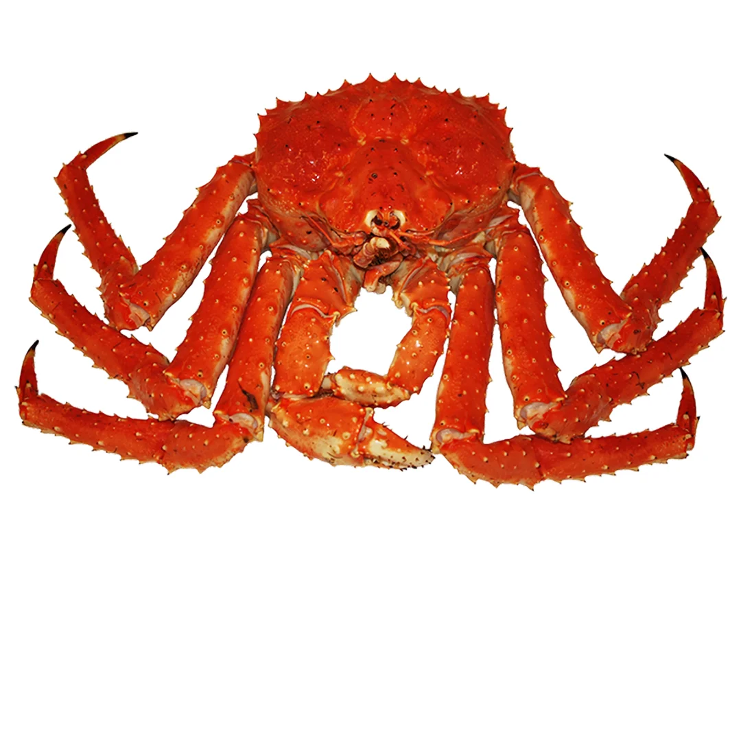 Bangladesh Indonesia Raw Fresh Seafood (90-110 gm/pcs) IVP 5 kg/ctn Whole Clean Frozen Soft Shell Crab