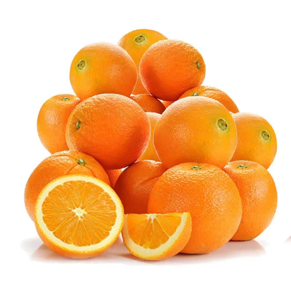 Fresh Navel Valencia oranges , Citrus from Egypt