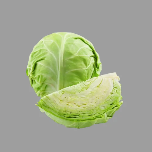 Fresh green cabbage