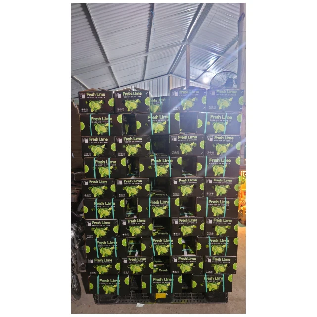 Product fresh lime premium quality new crop from Viet Nam to US market