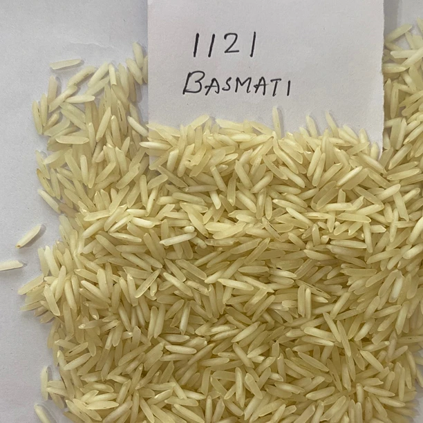 Widely Selling Export Quality 5/10/25kg Packaging Available on Long Grain 1121 Sella Basmati Rice for Bulk Purchaser