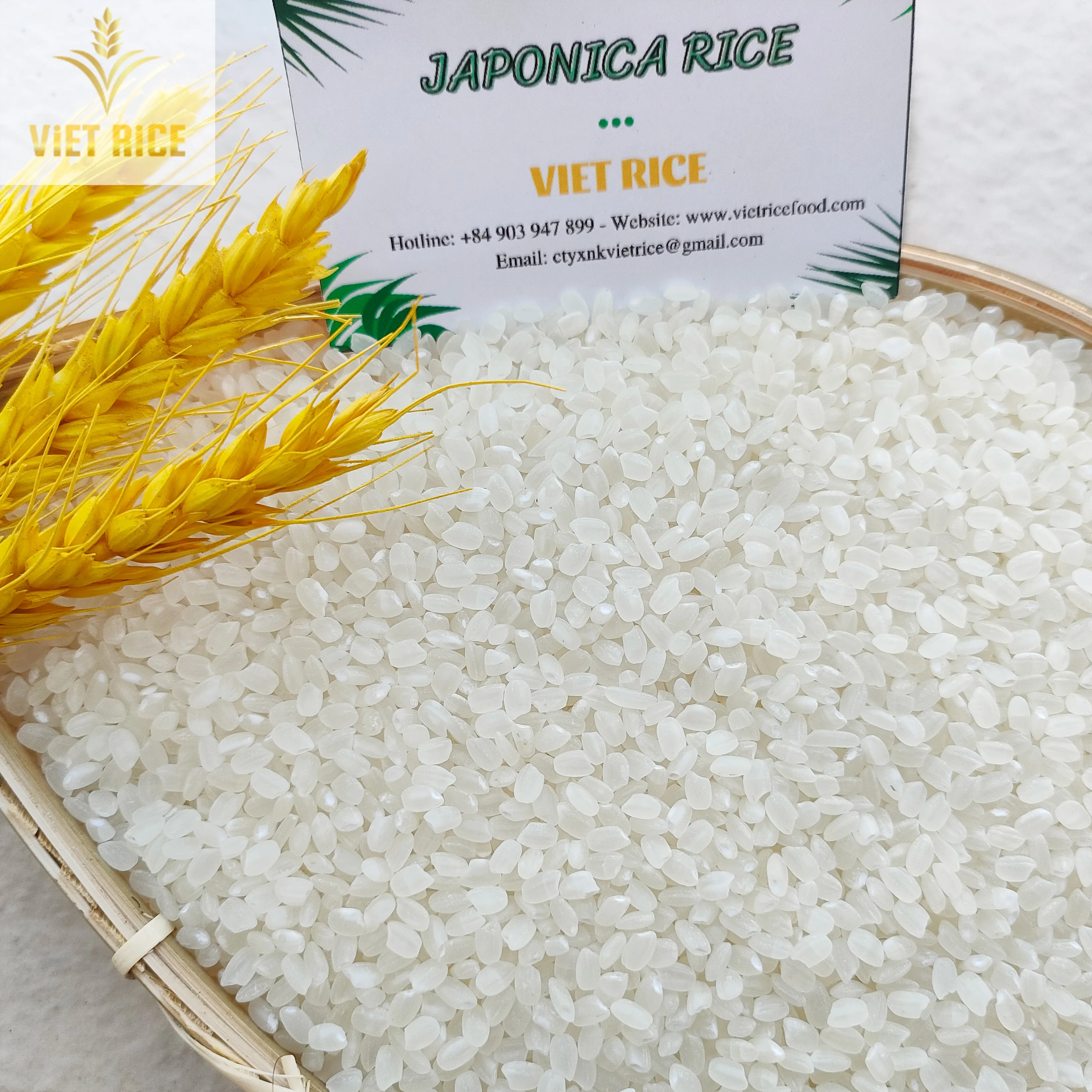 JAPONICA rice premium quality, is in large quantity, good price in the market. from Vietnam contact for good price +84829044060