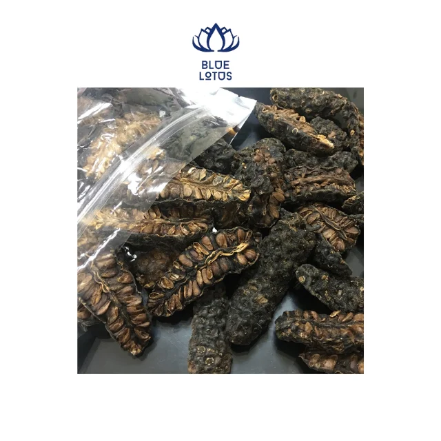 Vietnam Dried Noni Fruit