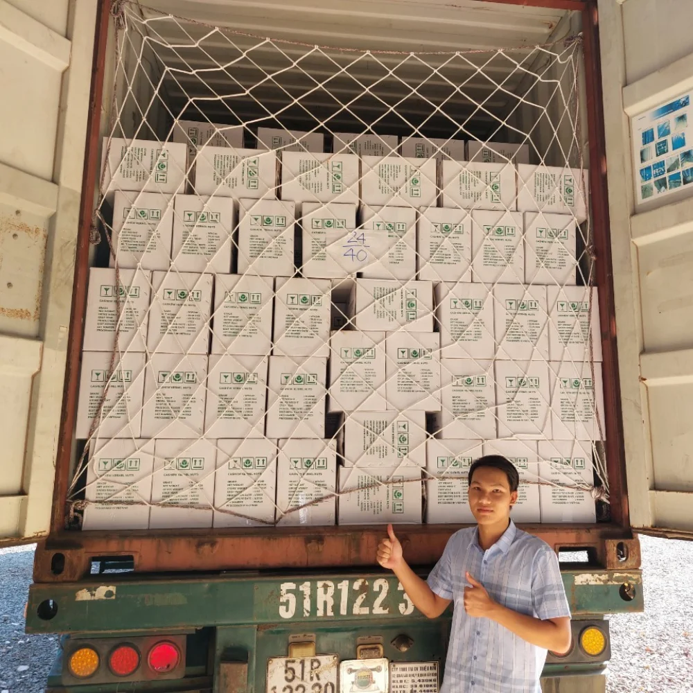 Hot Sale Customized Cutting Size Kaju Nuts From Vietnam Roasted Raw W180/W320/W240 Grade Cashew Nuts Dried Fruit AFI Certified