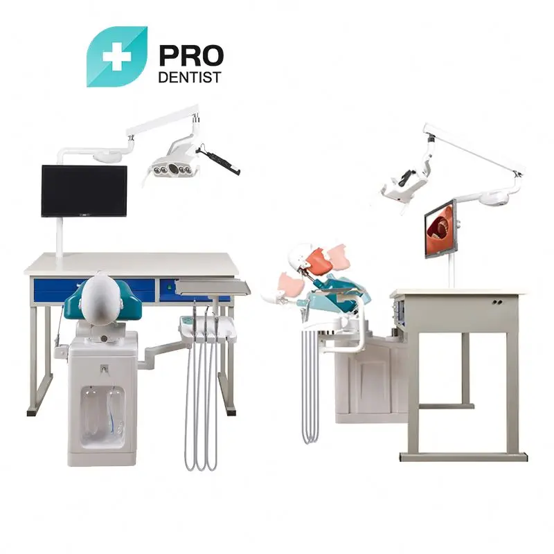 Hot Sale Dental Teaching Model Implant Teeth Model