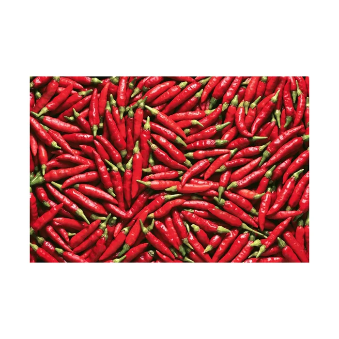 Hot Selling Price Of Red Dried Chili Pepper in Bulk
