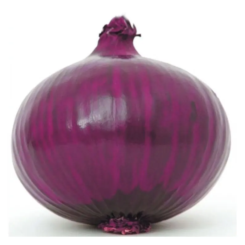 New season red onion 5-7cm / fresh onion import export
