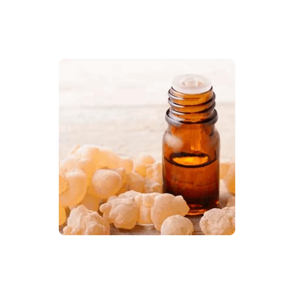 Buy Frankincense Essential Oil Wholesale Price Frankincense Oil Reliable Manufacturer  From India