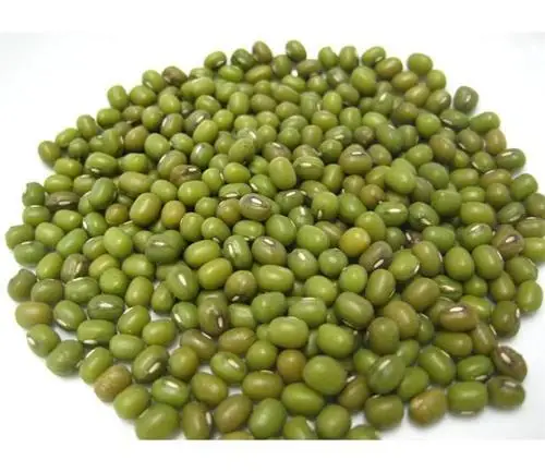 green gram vigna green beans Mung Beans green moong