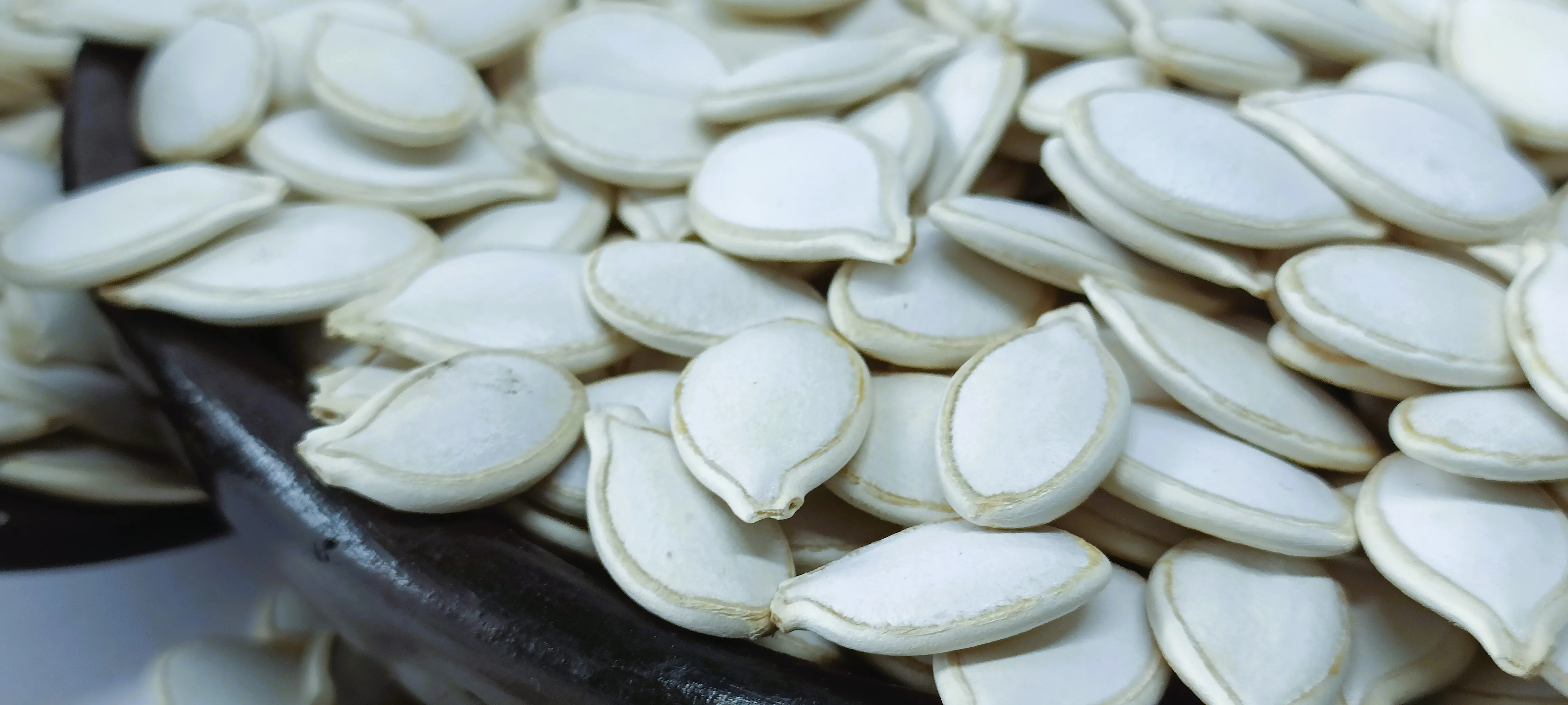 Wholesale White Pumpkin Seeds, Ethiopian Origin, 99% Min Purity, Raw & Natural, Top Selling Product Export Standard Custom Pack