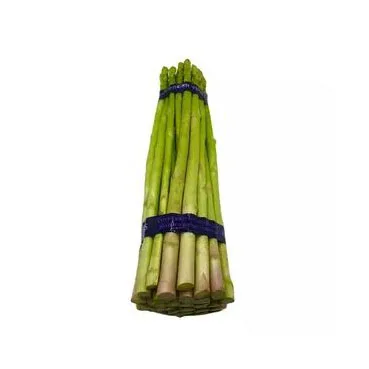New Crop A Grade Fresh Asparagus vegetable Length 4 - 9 cm long Fresh Asparagus Top Quality for supply from Africa