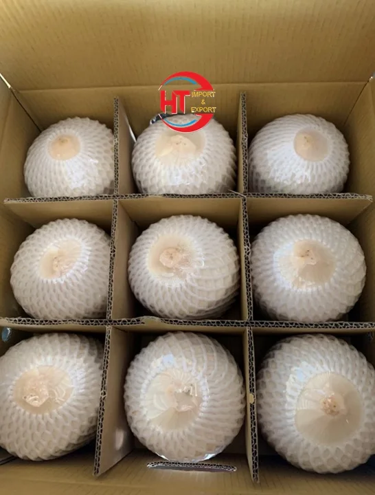 Made In Vietnam Organic Harvesting Natural Sweet Processed Diamond Cut Shell Siamese Coconuts (Without Green Shell)