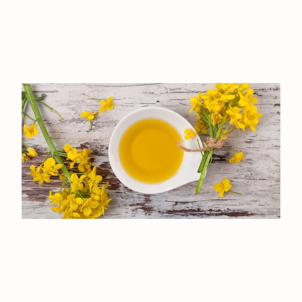 Best Quality Selling Refined Canola oil/Rapeseed Oil / Crude Rapeseed oil Pure Rapeseed Oil 3L Ready to Export