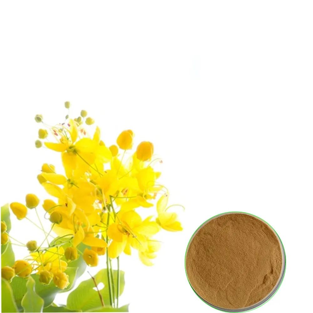 High Quality Amaltash Extract Powder Available Wholesale Price Customization available, Private labeling