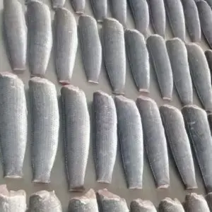 IQF SNACKEHEAD FISH WHOLE CLEAN - HIGH QUALITY CHEAP PRICE FROM VIETNAM