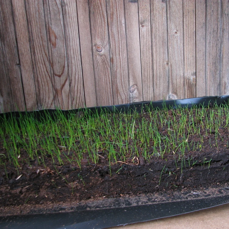 Peat moss slabs for lawns
