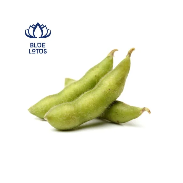 Лучшие продажи замороженных зеленых соевых бобов-высокое качество и Лучшая цена из Вьетнама