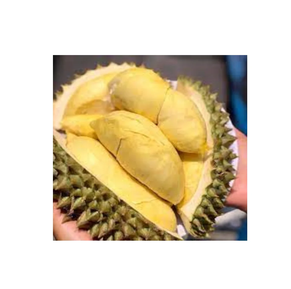 Extra Grade Of Fresh Young Coconut  RL Supply Brand Quality Product From Thailand Manufacture Export Large Market