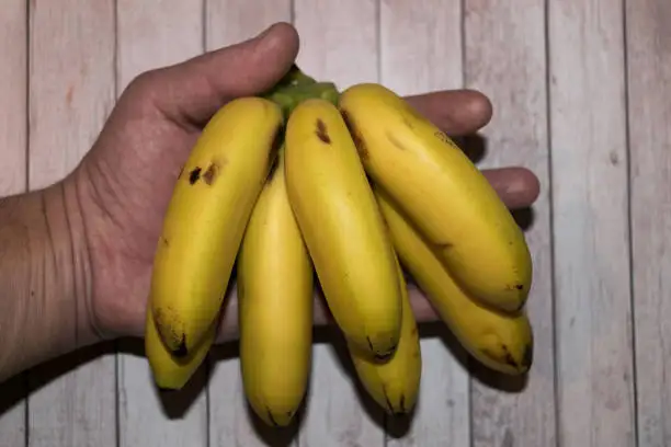 Indian fresh Sweet yellow Banana from the Indian Suppliers and Manufacturing in a premium quality at best price
