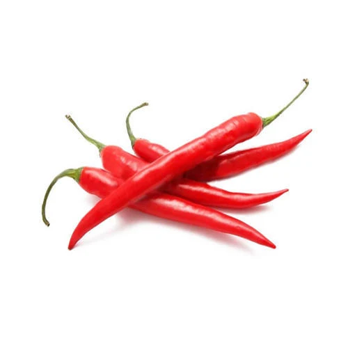 Biggest Sale Super Spicy Fresh Chili - Best Quality Organic Fresh Chili - Export from Vietnam