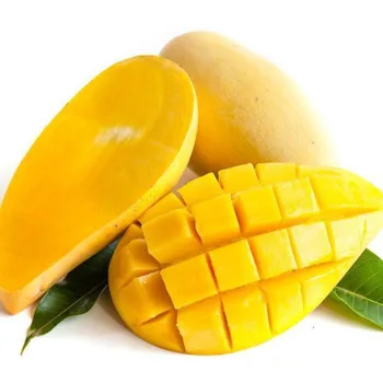 Wholesale High Quality Fresh Green Mango from Canada with Best Price
