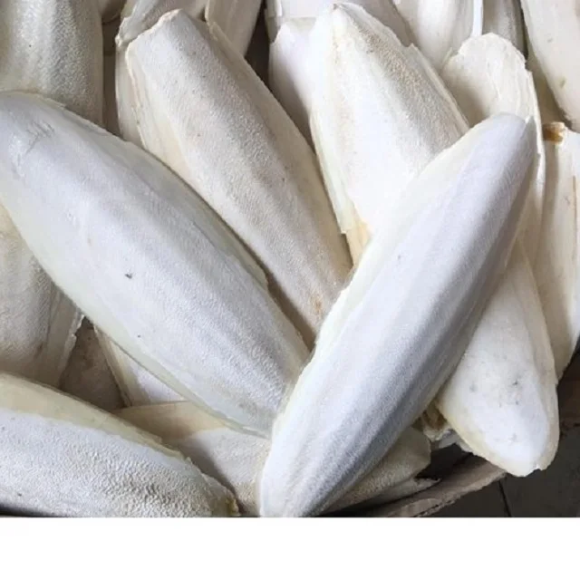 Wholesale Small Cuttlebone Animal Feed Natural White Dried Cuttlefish Bone From France