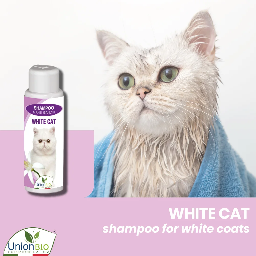 Top quality made in Italy plant based WHITE CAT SHAMPOO for cats with white coat delicate shampoo