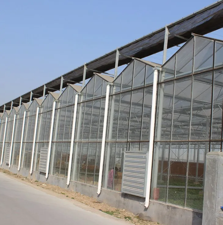 Modern venlo Polycarbonate farming greenhouse Multi-Span Commercial pc sheet Greenhouses supply green house overall system