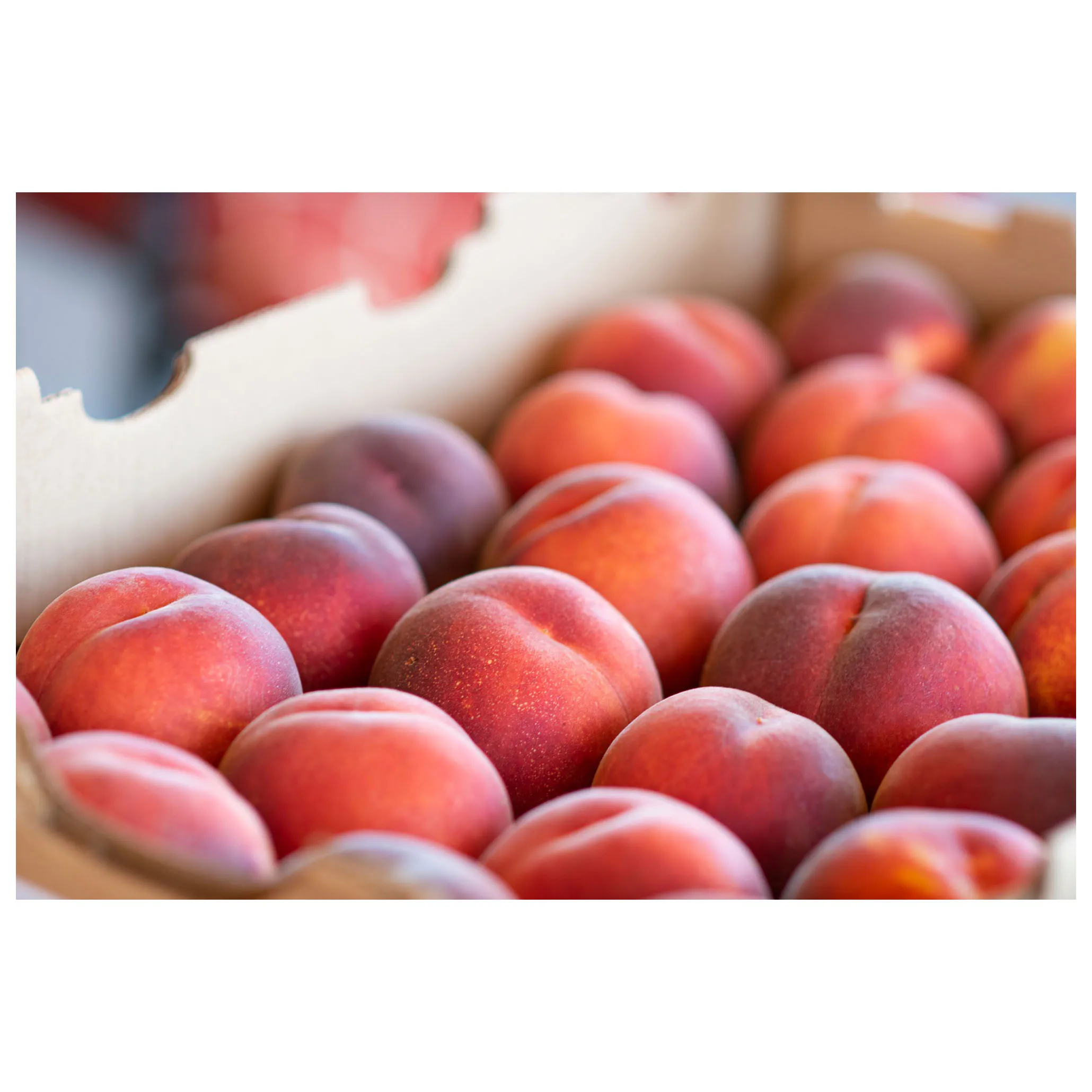 Bulk Hot Selling Freeze-Dried Honey Peach Chunks Freeze Dried Fruit Red Peach Preserved Peach Dried For Sale