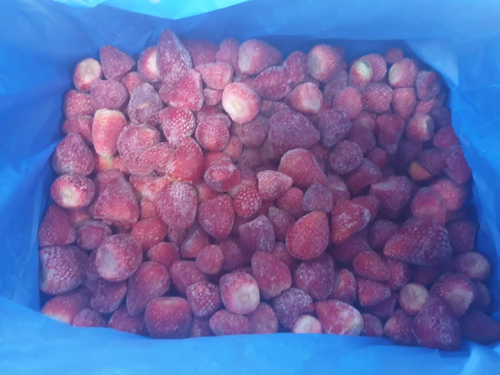 Frozen  Strawberries Strawberry For Brazilian Market