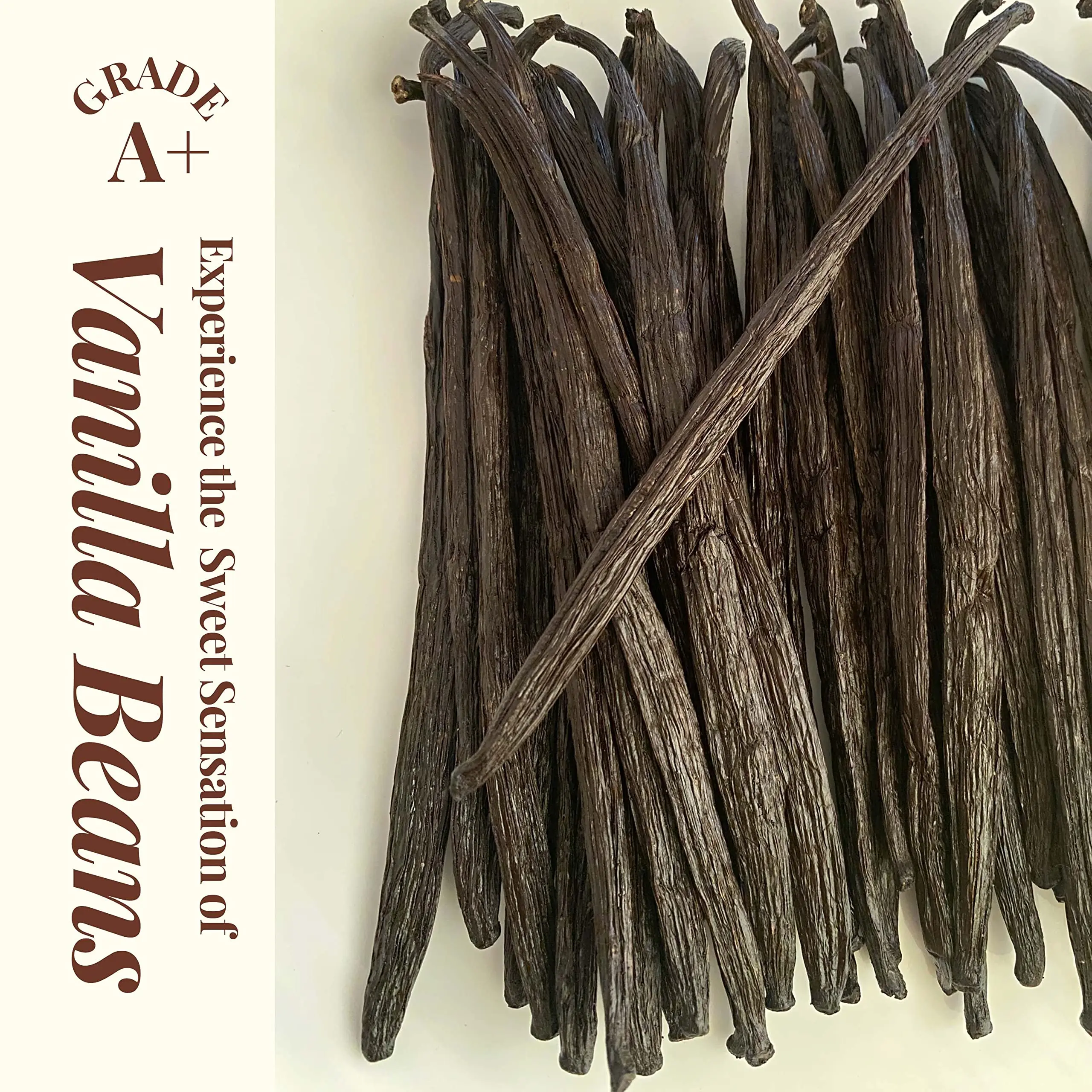 Organic Pure Vanilla Powder Premium Gourmet Ground Vanilla Bean Powder for Chefs Homemade Baking Ice Cream Coffee-Bulk Packed