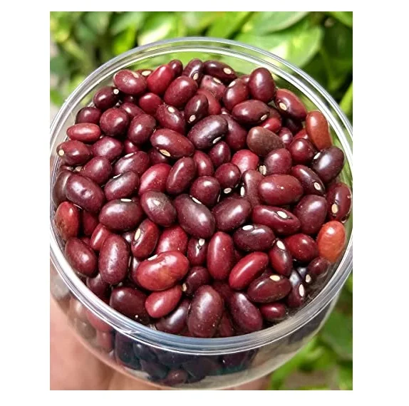 Good quality factory directly Canned Red Kidney beans Dark Red Color