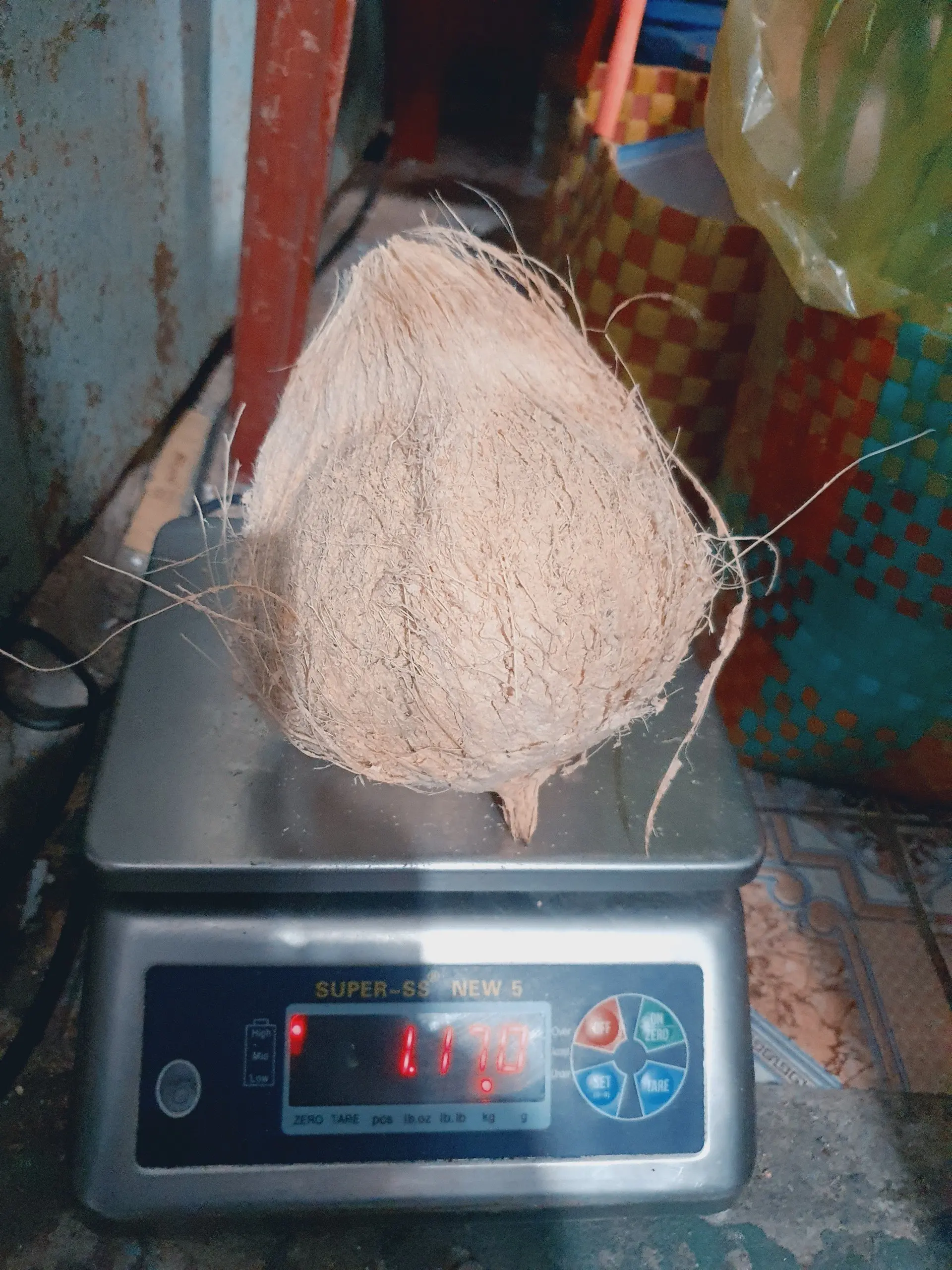 Vietnamese fresh coconut old coconut used for drinking or processing dishes carton or bag coconut