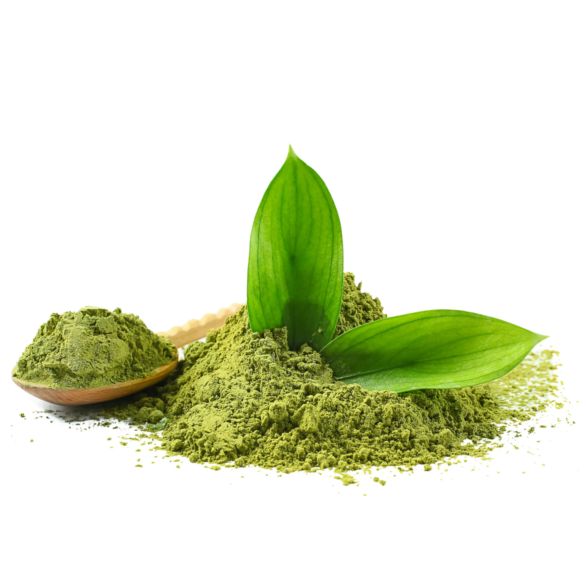 Japanese Premium Tea Green Matcha Powder  Matcha Tea A Heallthy Delicious Boost for Blending and Cooking 8gx20pcs