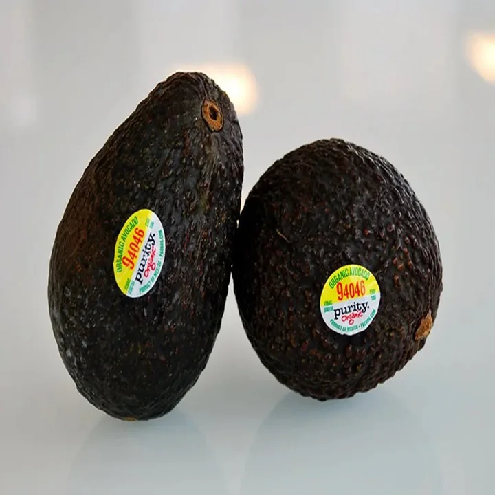 Organic and Non Gmo Thick Has Avocado for Sale / Fuertes Avocado From Mexico